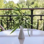 Sergios شقة فندقية كوكونارييس